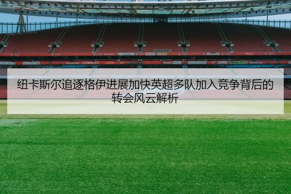纽卡斯尔追逐格伊进展加快英超多队加入竞争背后的转会风云解析